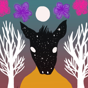 coversmidsummer-nights-dream